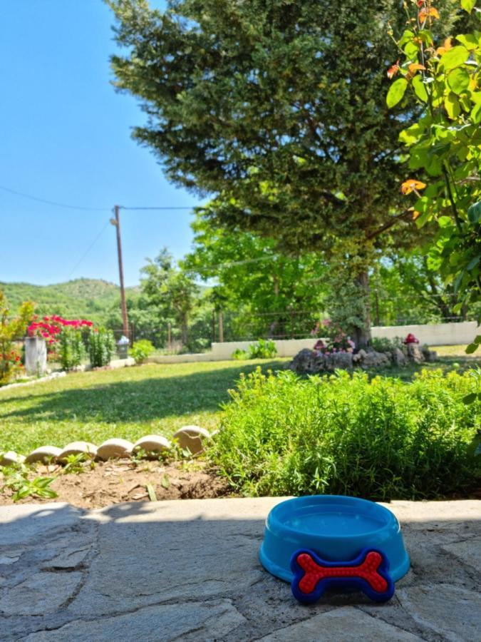 אדסה Cottage Lina מראה חיצוני תמונה