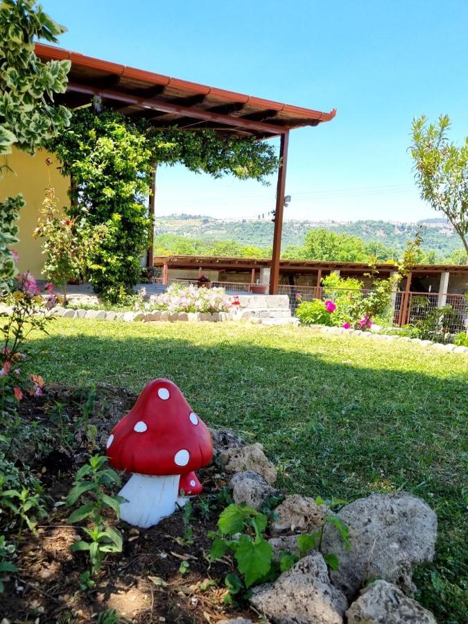 אדסה Cottage Lina מראה חיצוני תמונה