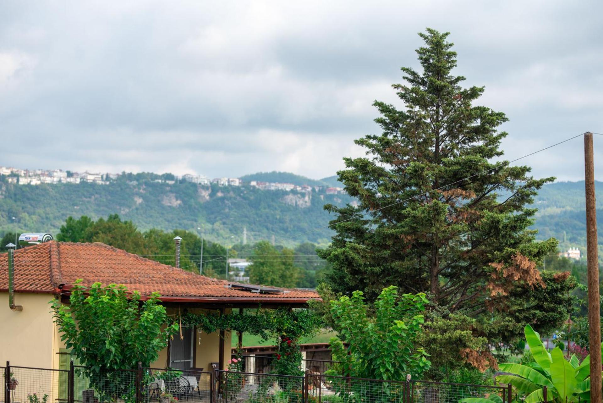 אדסה Cottage Lina מראה חיצוני תמונה